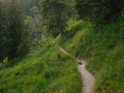 2013-07-20_Regina-F-Rau_Kochel-Rabenkopf (489).JPG
